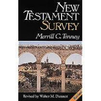 Image of New Testament Survey (Trawas)