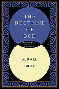 Image of The Doctrine Of God : contours of christian theology (Trawas)